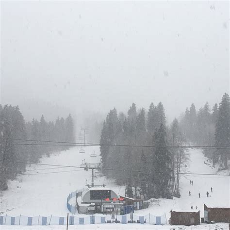 HOTEL KOKHTA (Bakuriani) - Hotel Reviews, Photos, Rate Comparison ...