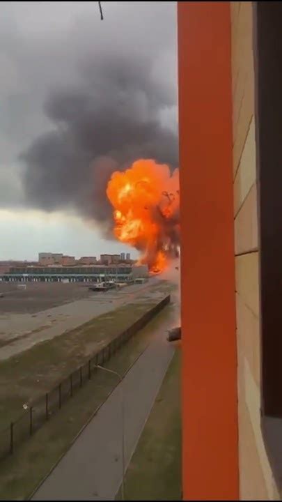 Fly Exploding 的图像结果