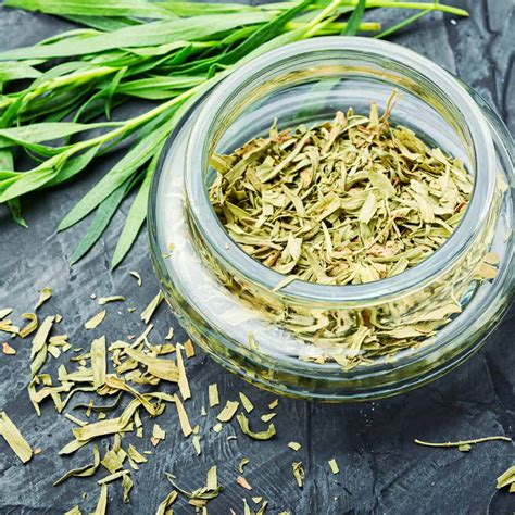 Top 10 Best Substitutes for Tarragon (Fresh and Dried Options)