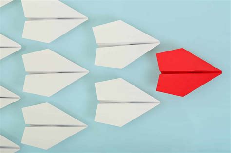 Leader Behavior Model 的图像结果