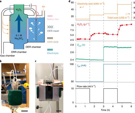 H2O2 Reactor 的图像结果