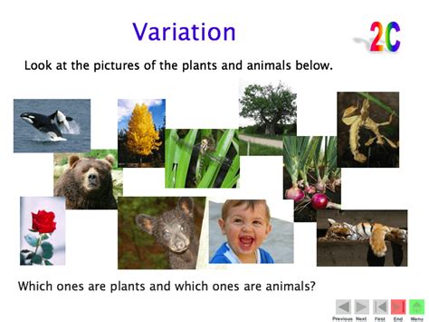 Image result for Science Variation Experiment