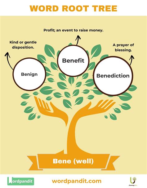 Aceto Root Word - Definition, Meaning, and Examples