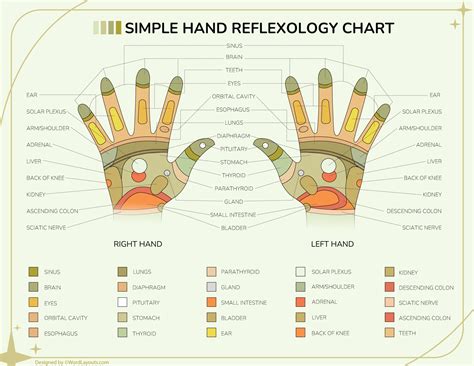 Hand Reflexology Points Map - WordLayouts