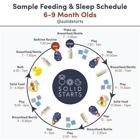 Baby feeding schedules by month from 6 to 24 months – Artofit
