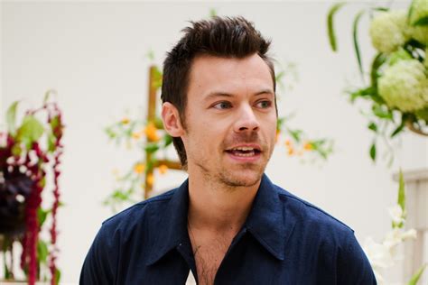 Harry Styles Attends Pope Announcement in Vatican City: Fans React