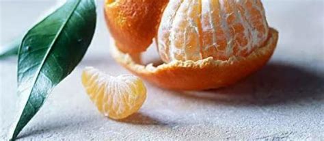 《橘子不是唯一的水果》绘本|插画|绘本|爱吃蘑菇的胖乎 - 原创作品 - 站酷 (ZCOOL)