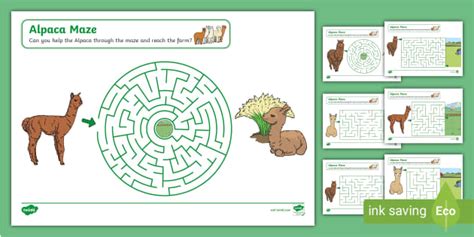 Alpaca Maze Activity Worksheets | Mazes | Twinkl | KS1