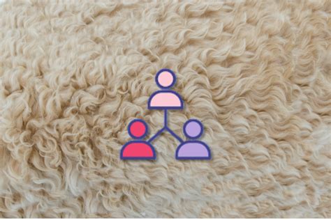 Image result for Delphi Group Technique Practicle Example