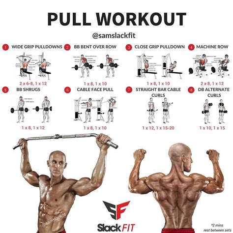 Pull Arm Exercises 的图像结果