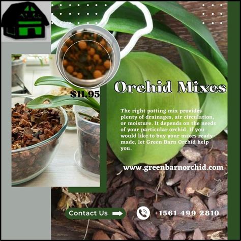 Use Top Quality Orchid Potting Mixes For Vigorous Orchids | Green Barn ...