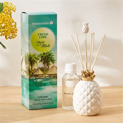Oil Diffusers - Buy Best Diffusers Online - Home Centre