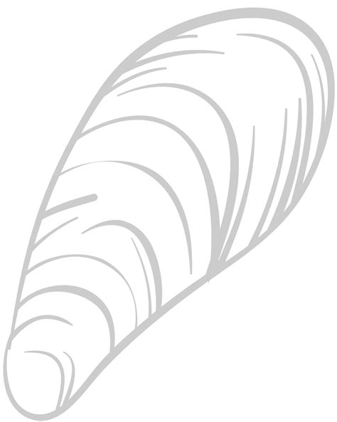 Shell Texture Vector 的图像结果