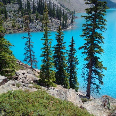 ADVENTURES IN SEATTLE - 2022 What to Know Before You Go