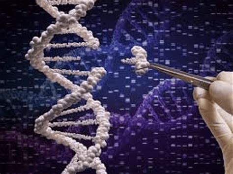 Molecular Biotechnology 的图像结果