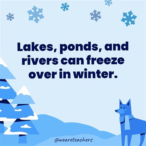 25 Fun and Fascinating Facts About Winter