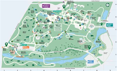 Map - Bronx Zoo