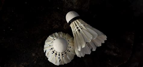 Badminton Shuttlecock | High-Quality Shuttlecocks for Badminton