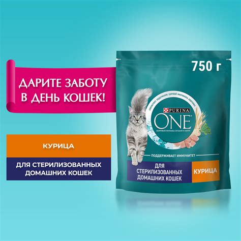 Сухой корм Purina ONE® | Purina ONE