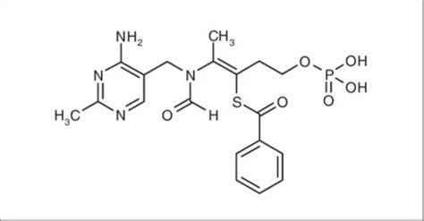 Amino Acid - Amino Acid Blends Manufacturer from Ahmedabad