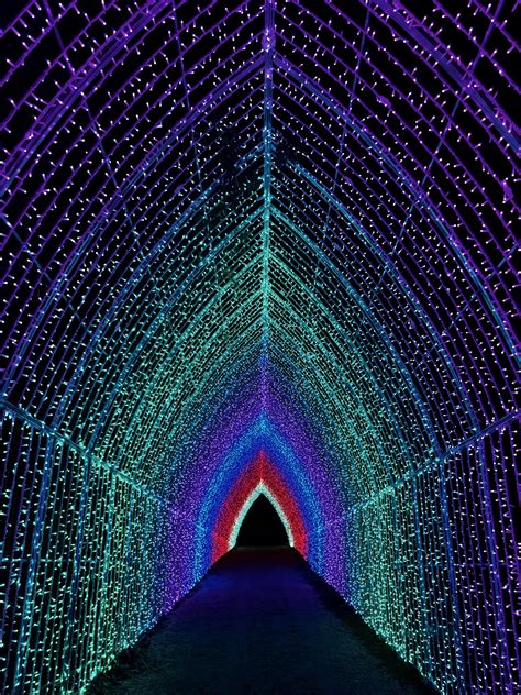 Everything Team STELLAR Is Loving This Week | Stellar