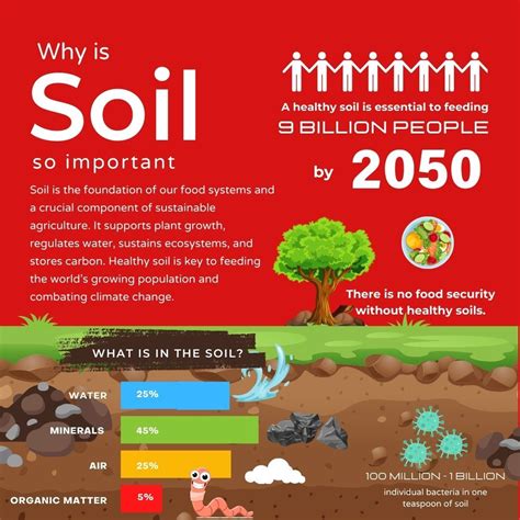 Why is Soil Important? | Erimet and Caben posted on the topic | LinkedIn