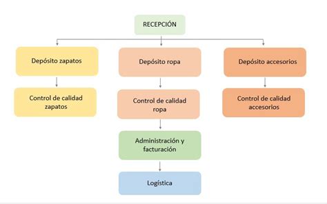Organization Phase Chart 的图像结果