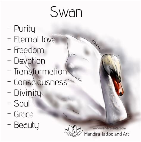 Tattoo Symbols / Swan | Spirit animal meaning, Animal spirit guides ...