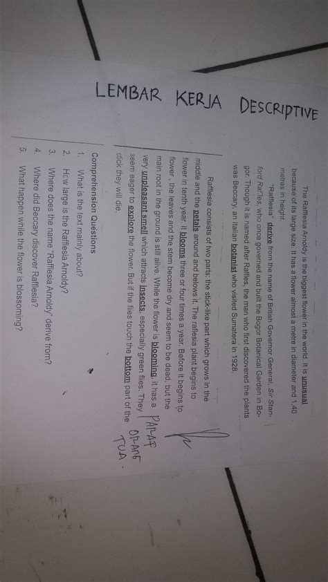 Jawaban Comprehension Questions 1 - Ilmu Soal - what are bayu riri and santi discussing