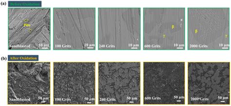 Investigations on Oxidation Behavior of Free-Standing CoNiCrAlYHf ...