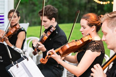 Image result for Contemporary String Quartet