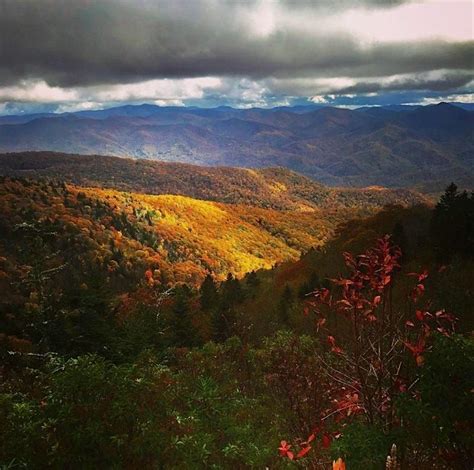 Aimee Courys Nature Photography Exhibit, Northfield Mandolin Workshop ...