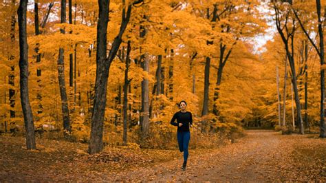 Fall Running 的图像结果