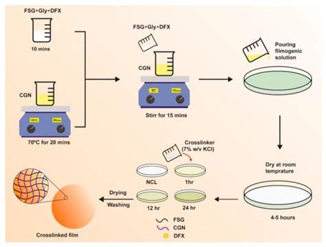 Designing Deferoxamine-Loaded Flaxseed Gum and Carrageenan-Based ...