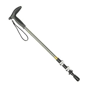 LEKI Wanderfreund Speed Lock 2 Trekking Pole : Amazon.in: Sports ...
