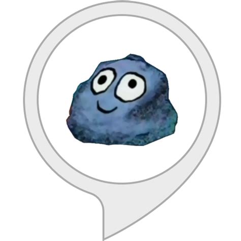 Amazon.in: My Pet Rock : Alexa Skills