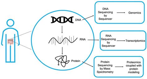 Proteogenomic Approaches to Understand Gene Mutations and Protein ...