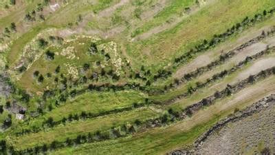 Aerial Power Infrastructure - Dataset Ninja