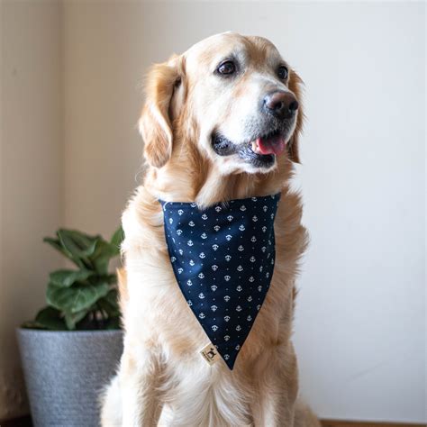 Buy Best dog Bandana Online in India | pet Accessories Online ...