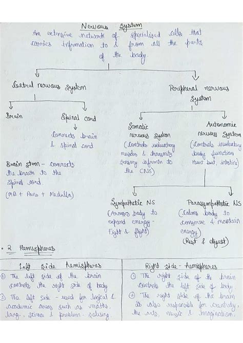Neuro 1 - Summary Masters in Clinical psychology - Studocu