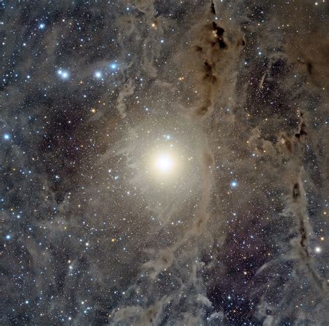 Wild Nights, Wild Nights on Tumblr