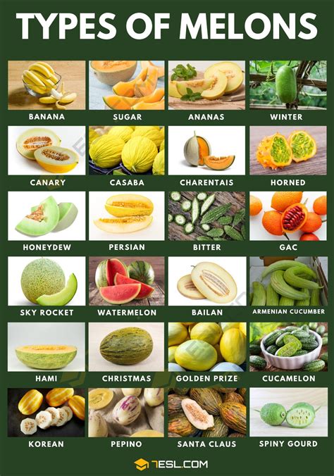 55 Different Types of Melons with "Juicy" Pictures • 7ESL | Fruits and ...