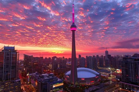 City Portrait 的图像结果