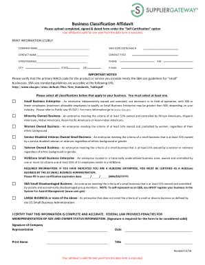 US Small Business Classification Affidavit - Blank Fillable Template ...