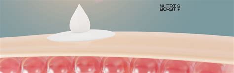 Embarking on a Journey with Biotin: A Pillar for Flourishing Skin and ...