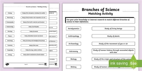Branches of Science Matching Activity Worksheet | Twinkl