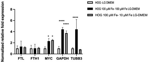 Development and Characterization of Human Oligodendroglioma Cellular ...