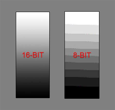 Raw Image Format 的图像结果