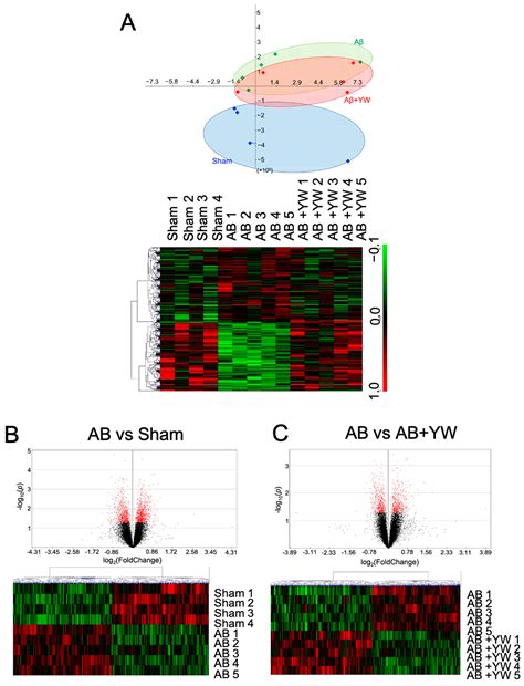 Bioinformatics Analysis of the Molecular Networks Associated with the ...