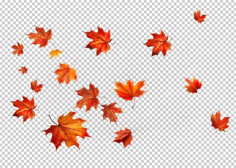 Premium PSD | Fall leaf isolated on transparent background